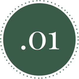 1@2x