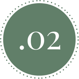 2@2x