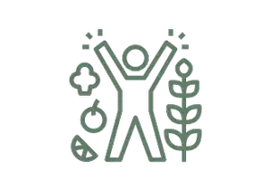 Sustainable+lifestyle+recommendations